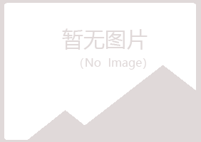 河池觅波能源有限公司